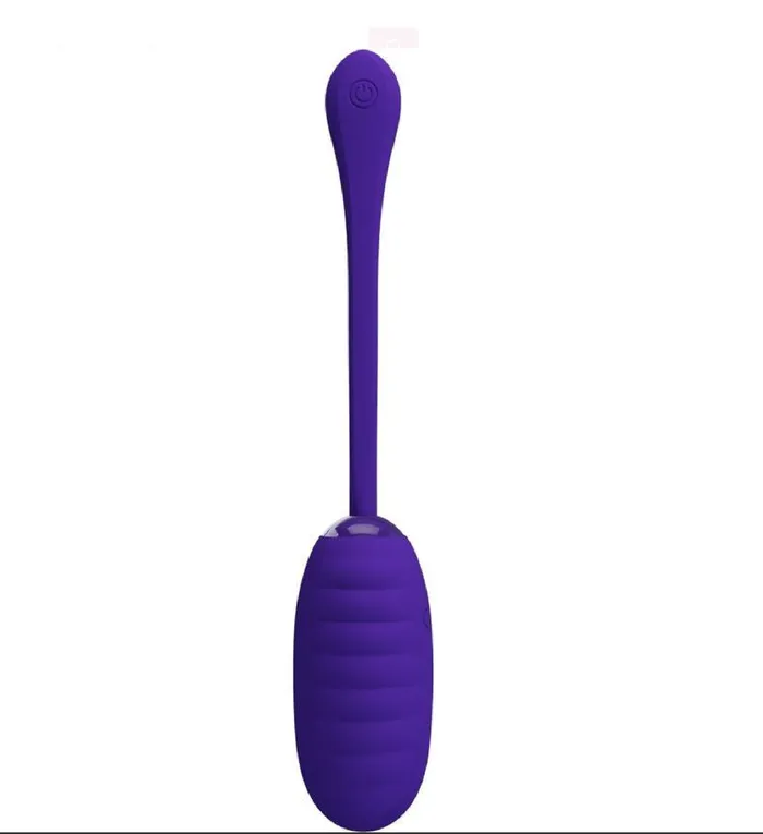 Vibrators Pretty Love Kirk Rechargeable Vibrating Egg Purple