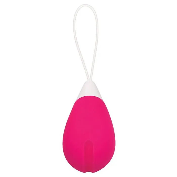 Evolved Female Sex Toys Remote Control Egg