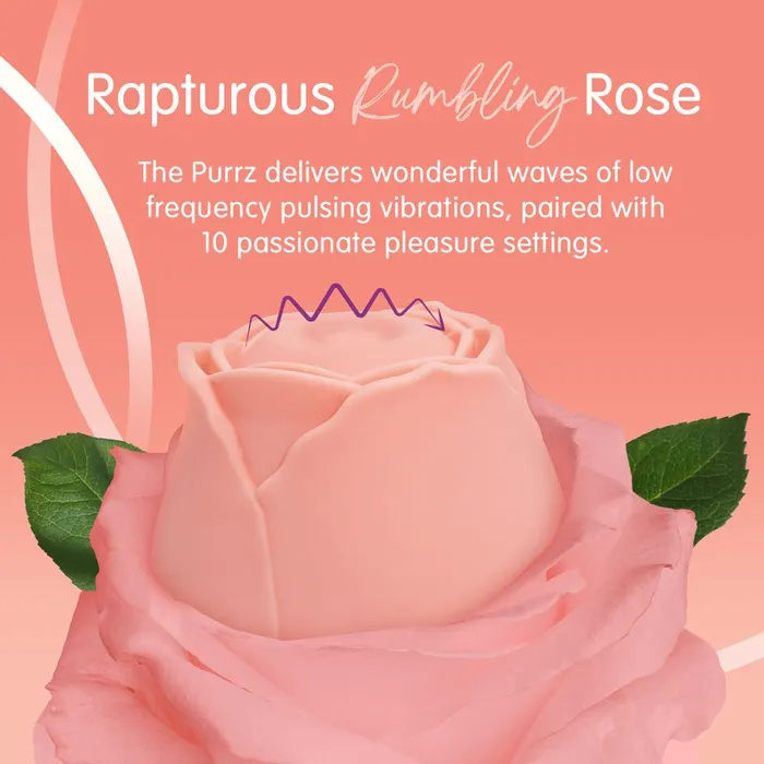 Vibrators Creative Conceptions Skins Rose Buddies The Rose Purrz Light Pink Pulsing Rose Stimulator Vibrators Creative Conceptions Skins Rose Buddies The Rose Purrz Light Pink Pulsing Rose Stimulator