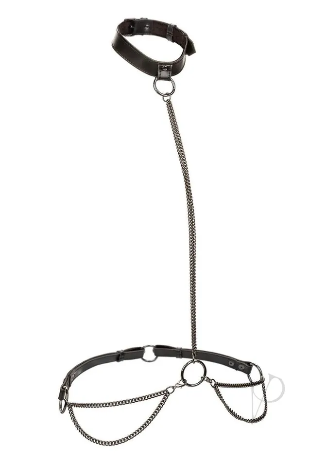 Vibrators Euphoria Collection Chain HalterCollar and Leash Euphoria