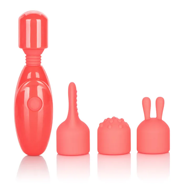 CalExotics Rechargeable Massager Kit Female Sex Toys