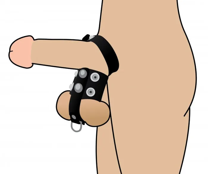 Strict Cock Strap Ball Stretcher XR Brands Male Sex Toys
