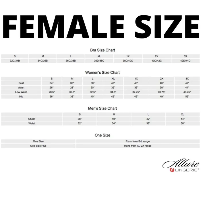Anal Allure Lingerie Chole See Through Me Corselette With Garters Black Small Anal Allure Lingerie Chole See Through Me Corselette With Garters Black Small