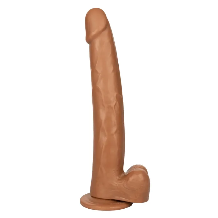 CalExotics Size Queen 12 inch305 Cm Brown Anal CalExotics Size Queen 12 inch305 Cm Brown Anal