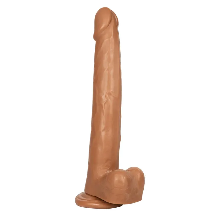CalExotics Size Queen 12 inch305 Cm Brown Anal CalExotics Size Queen 12 inch305 Cm Brown Anal