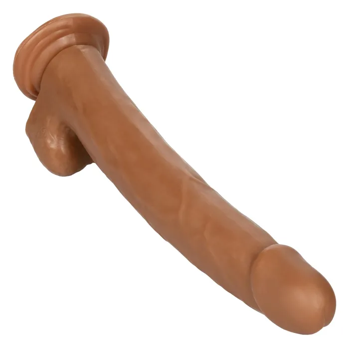 CalExotics Size Queen 12 inch305 Cm Brown Anal CalExotics Size Queen 12 inch305 Cm Brown Anal