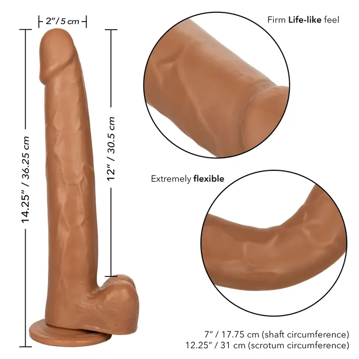CalExotics Size Queen 12 inch305 Cm Brown Anal CalExotics Size Queen 12 inch305 Cm Brown Anal