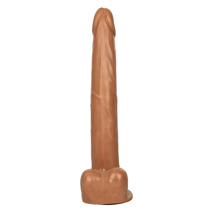CalExotics Size Queen 12 inch305 Cm Brown Anal CalExotics Size Queen 12 inch305 Cm Brown Anal