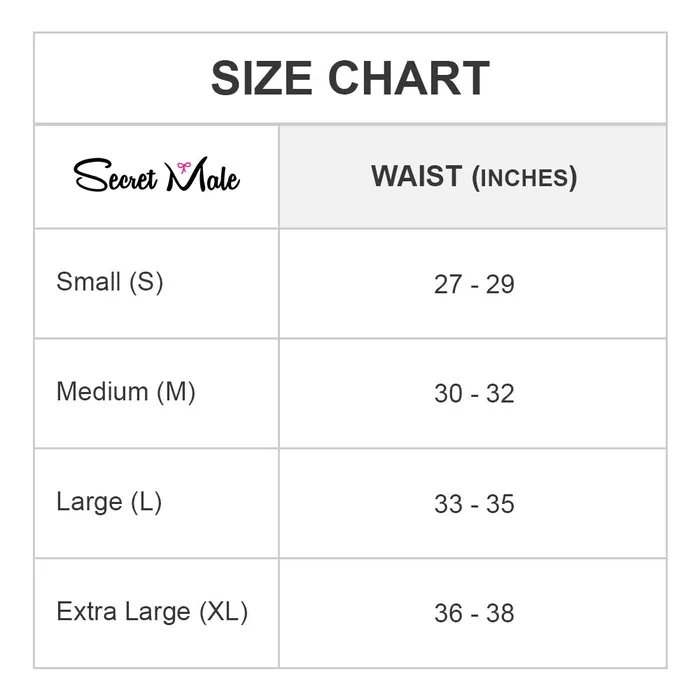 Secret Male Male Sex Toys Secret Male Mesh Lace Bikini