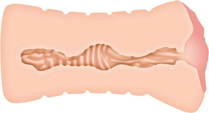 Evolved Novelties Male Sex Toys Zero Tolerance Vagina Stroker Lisa Ann