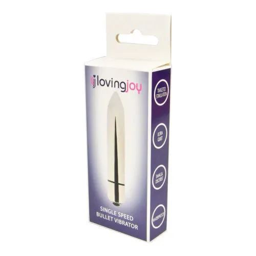 Loving Joy Loving Joy Single Speed Silver Bullet Vibrator Female Sex Toys