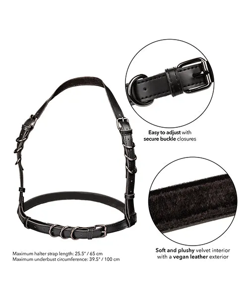 CalExotics Euphoria Collection Halter Buckle Harness Female Sex Toys