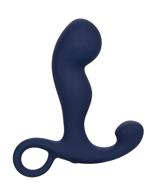 CalExotics Viceroy Rechargeable Command Probe Anal