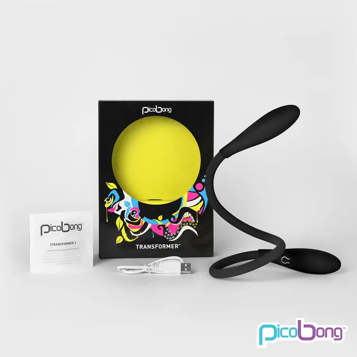 PicoBong Vibrators PicoBong Transformer PicoBong Vibrators PicoBong Transformer