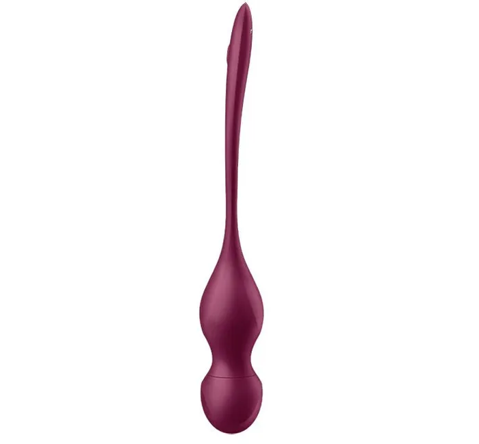 Satisfyer Vibrators Satisfyer Love Birds Vary