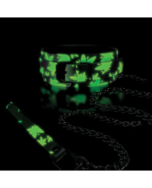Stoner Vibes Glow in the Dark Collar Leash Global Novelties Female Sex Toys
