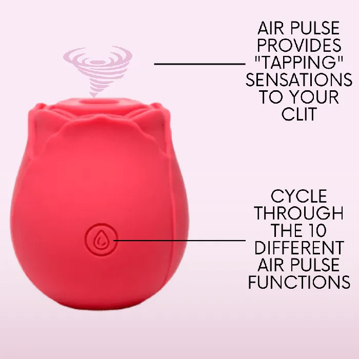 TooTimidcom Vibrators Euphoria 1 Selling Rose Sex Toy Air Pulse Stimulator