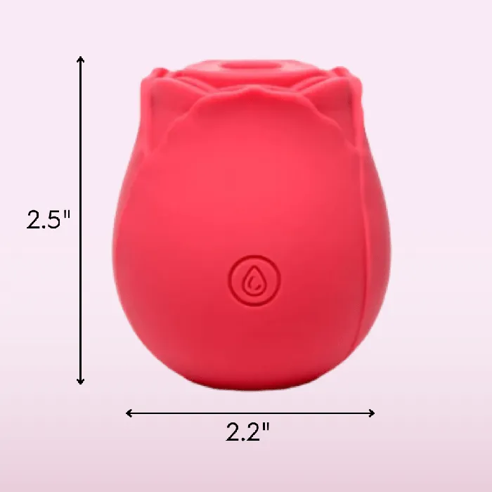 TooTimidcom Vibrators Euphoria 1 Selling Rose Sex Toy Air Pulse Stimulator