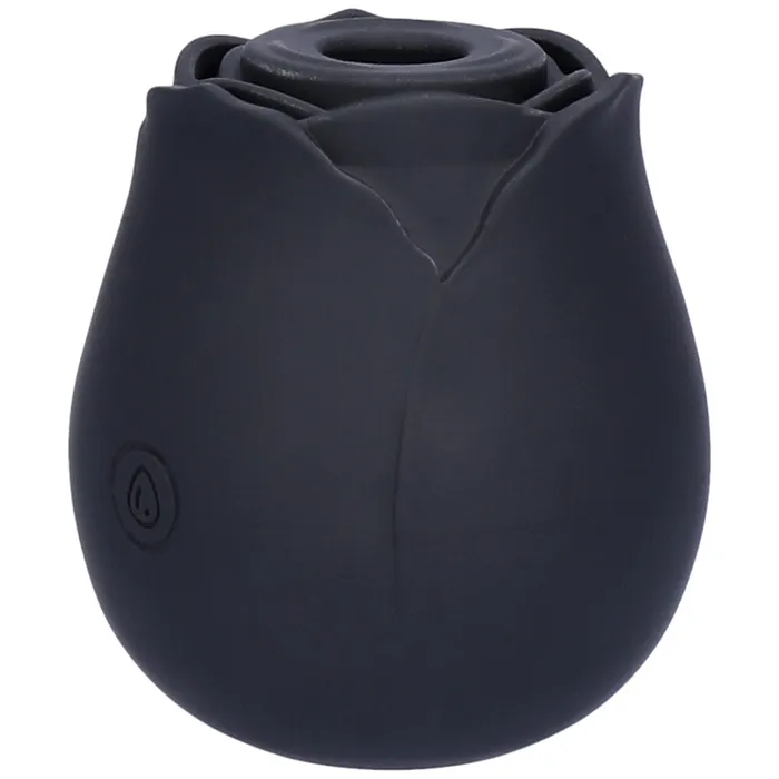 TooTimidcom Vibrators Euphoria 1 Selling Rose Sex Toy Air Pulse Stimulator