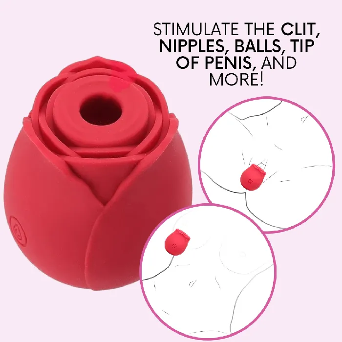 TooTimidcom Vibrators Euphoria 1 Selling Rose Sex Toy Air Pulse Stimulator