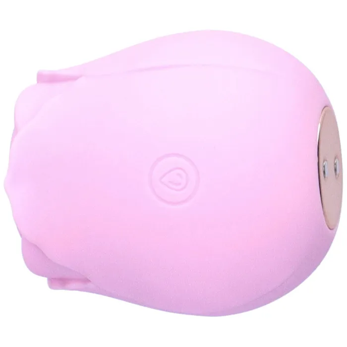 TooTimidcom Vibrators Euphoria 1 Selling Rose Sex Toy Air Pulse Stimulator