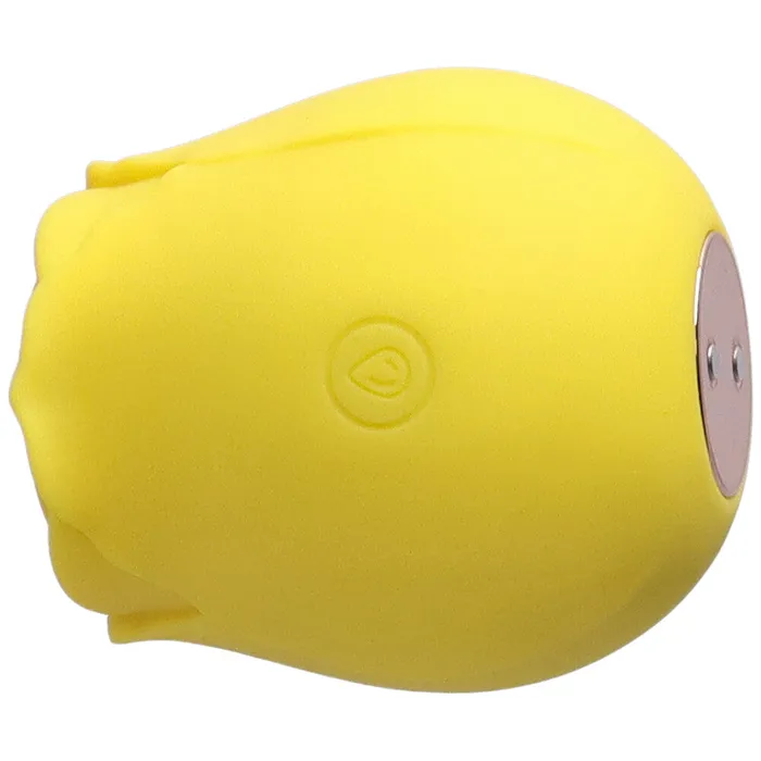 TooTimidcom Vibrators Euphoria 1 Selling Rose Sex Toy Air Pulse Stimulator