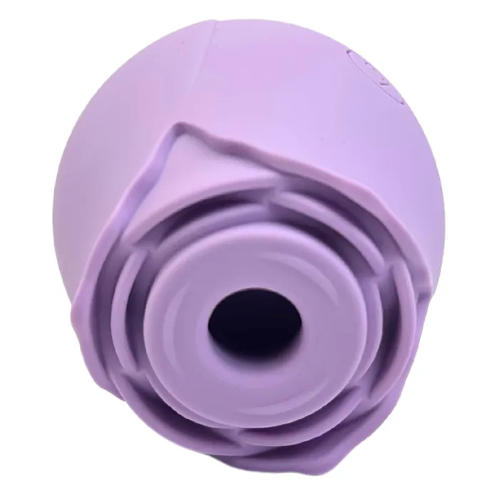 TooTimidcom Vibrators Euphoria 1 Selling Rose Sex Toy Air Pulse Stimulator