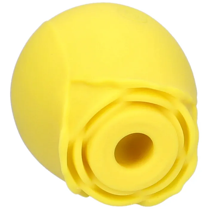 TooTimidcom Vibrators Euphoria 1 Selling Rose Sex Toy Air Pulse Stimulator