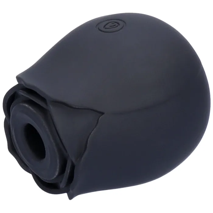 TooTimidcom Vibrators Euphoria 1 Selling Rose Sex Toy Air Pulse Stimulator