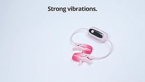 Vibrators Lovense Lovense Gemini