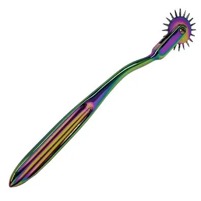 Anal AYLI Rainbow Single Wartenberg Pinwheel