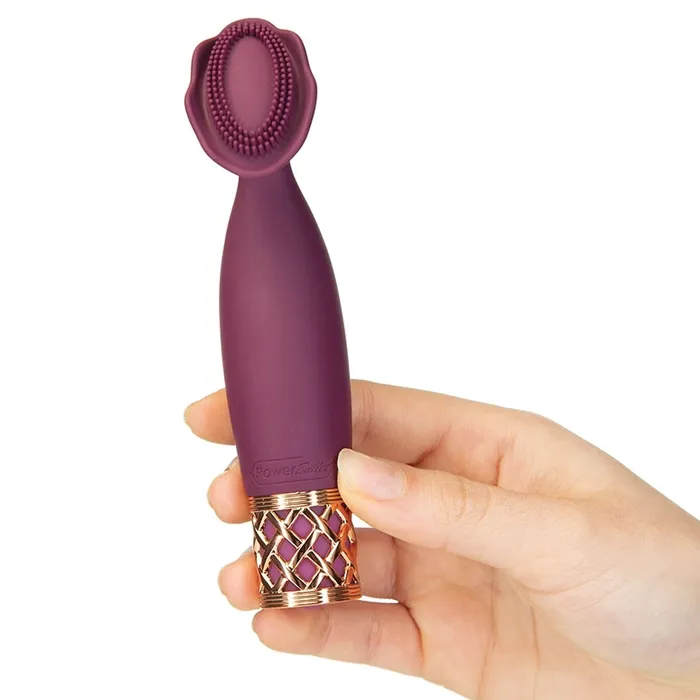 BMS Vibrators Pillow Talk Secrets Passion