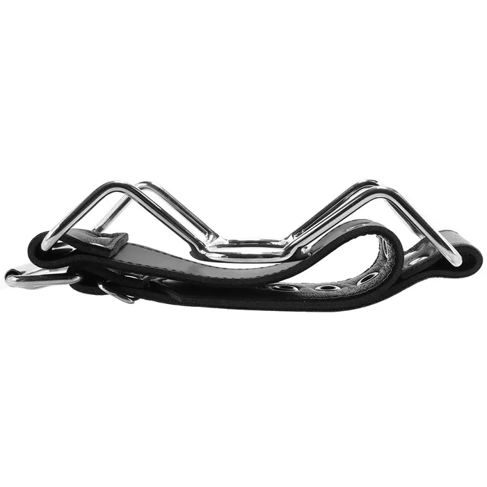 Dildos Rouge Stainless Steel Spider Gag