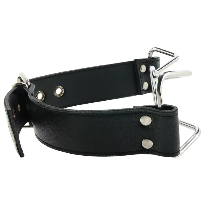 Dildos Rouge Stainless Steel Spider Gag