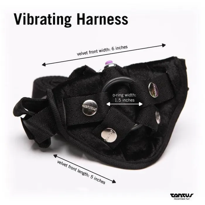 Tantus Silicone Bend Over Beginner Harness Kit Purple Tantus Vibrators