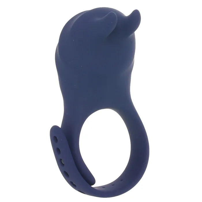 Zero Tolerance Adjustable Remote Fun Ring Vibe Evolved Novelties Anal